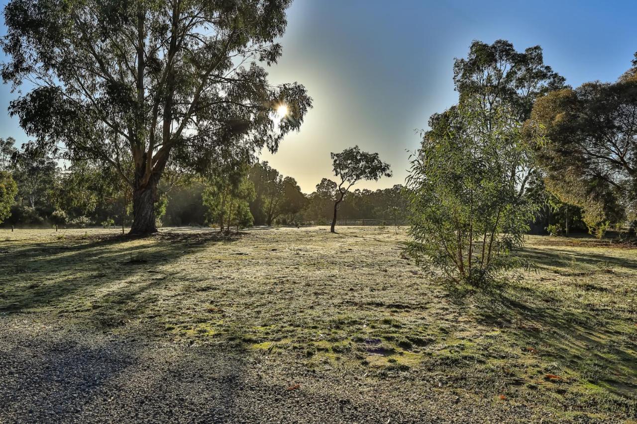 Mountain View Motor Inn & Holiday Lodges Halls Gap Kültér fotó